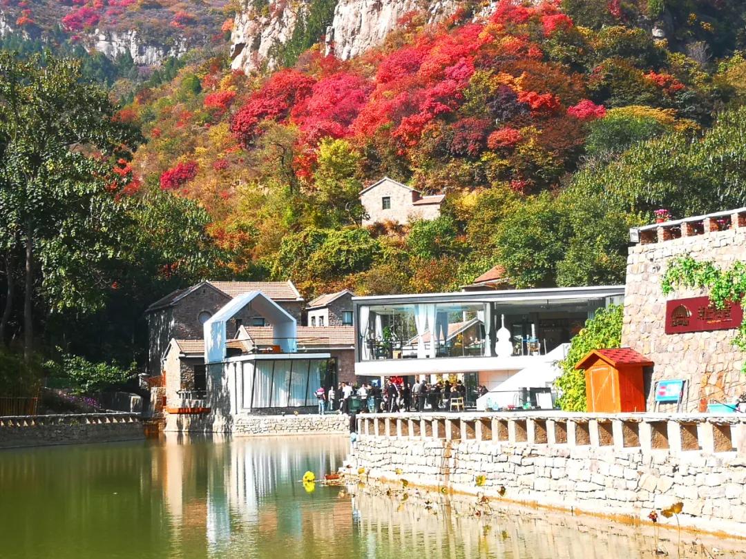 打造地方特色文旅项目,重磅打造的文旅项目