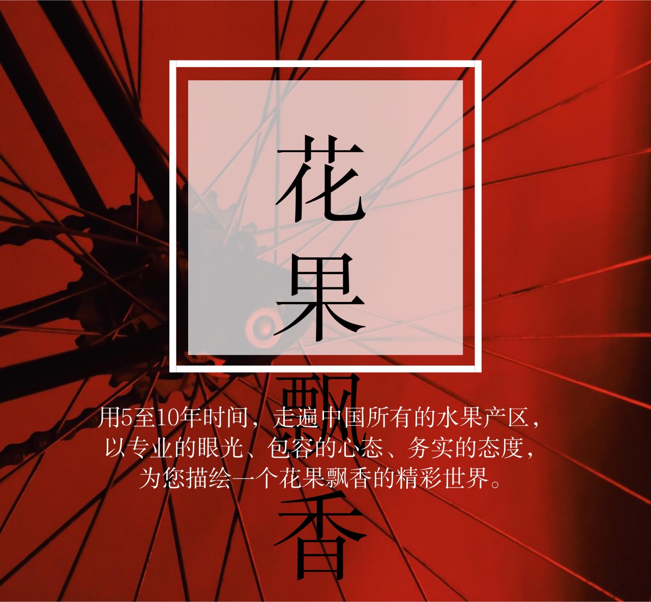 葡萄园有什么发展,葡萄园投入和收入