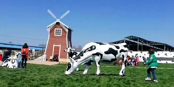 中国奶粉产业共同崛起,奶粉行业领跑者