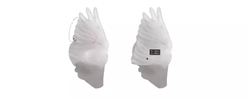 ps花仙子合成教程,ps合成狗狗教程