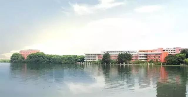 武汉市十大美丽中学,武汉十大美丽学校