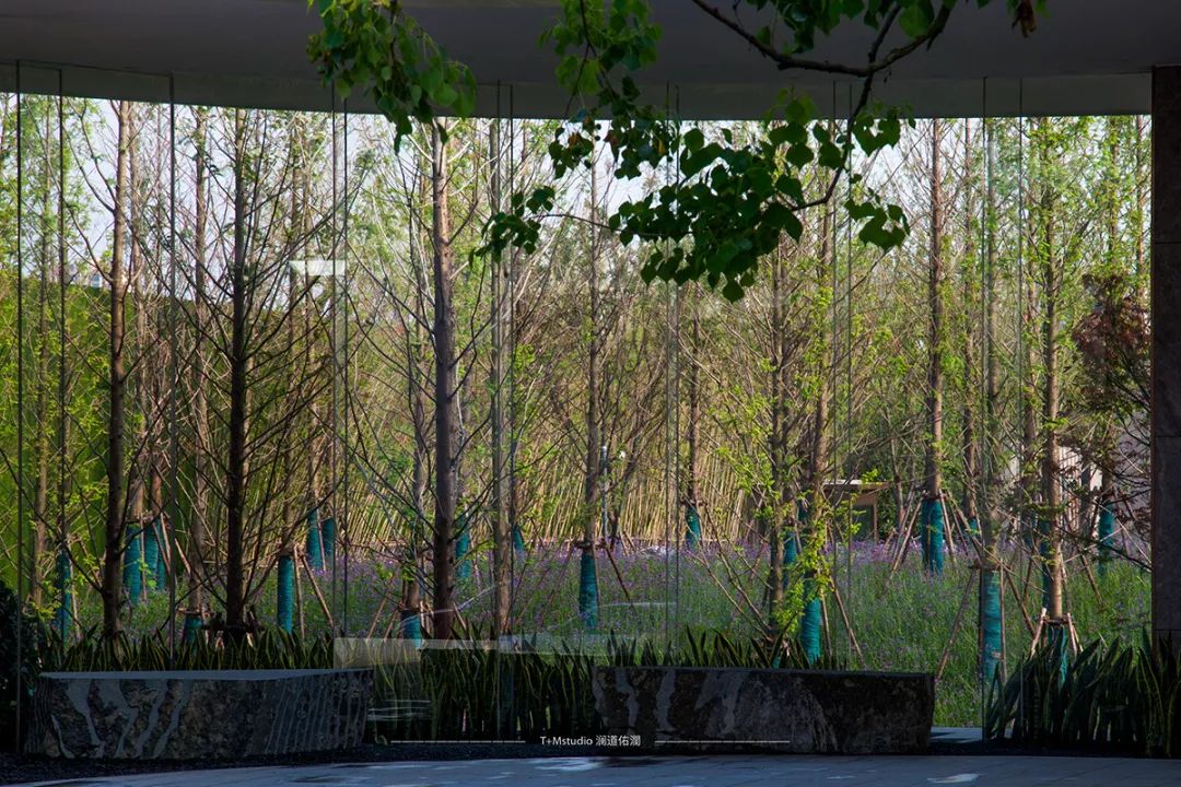 龙湖首开湖西星辰房型面积,苏州龙湖首开湖西星辰多少一平