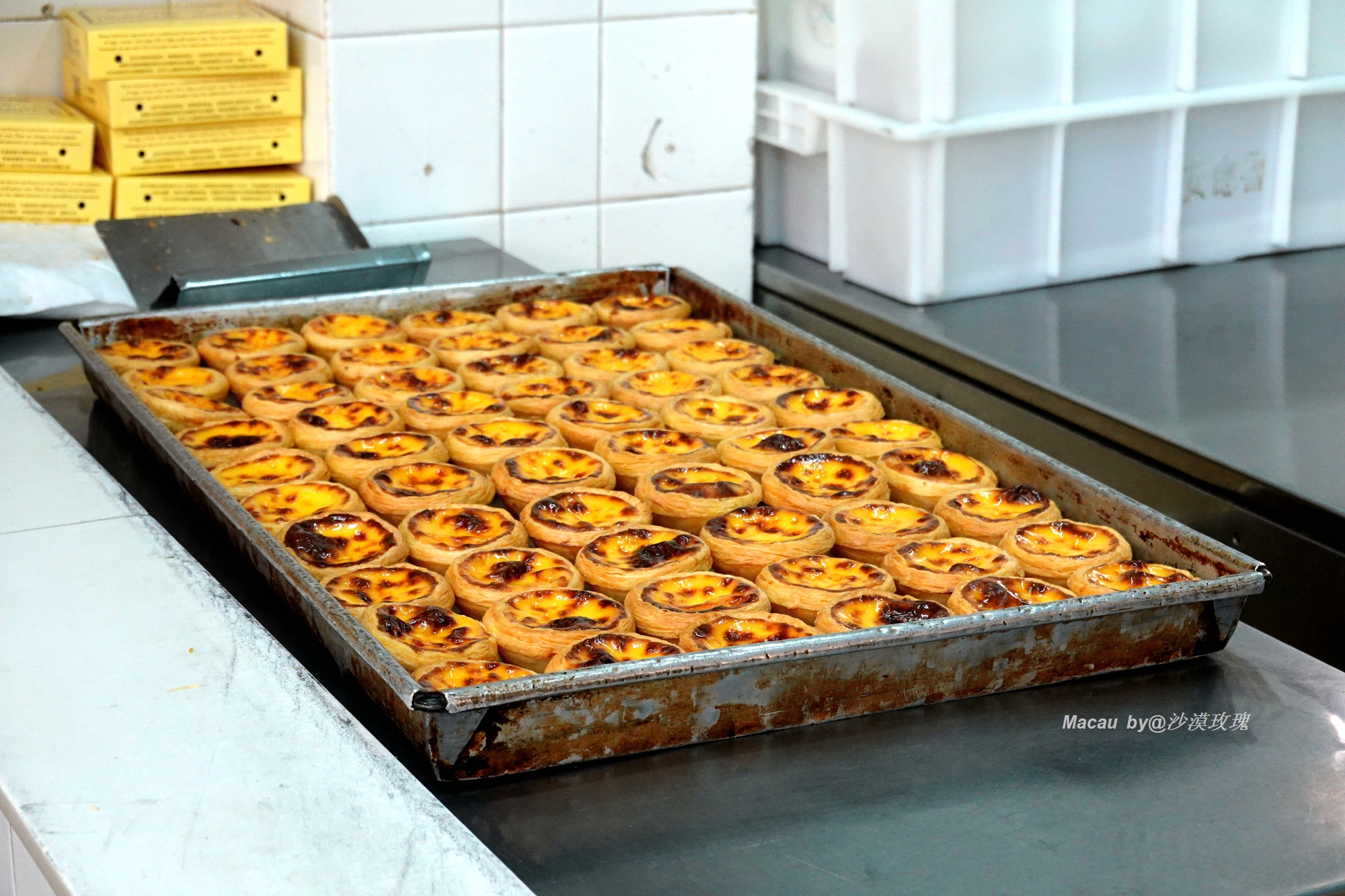 澳门出名美食,澳门有名的美食街是哪里