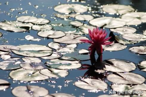 小学语文多音字专项练习,小学语文100个多音字口诀