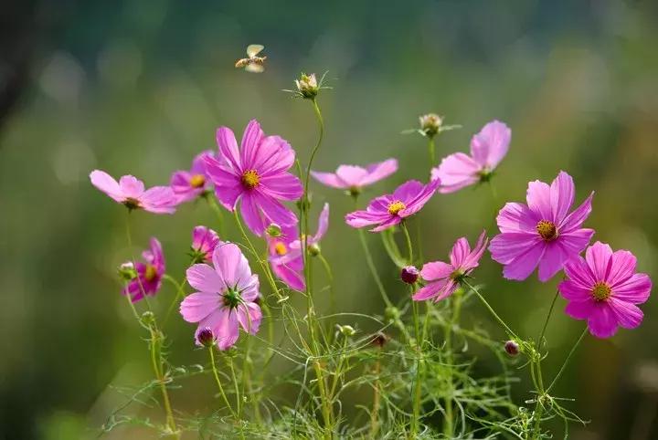 最全12月营销日历,最全2019营销日历