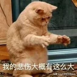 净网诈骗案例分析,净网2019诈骗套路多