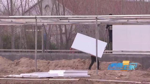 牛肉批发价最新价格,牛肉价格补贴最新消息