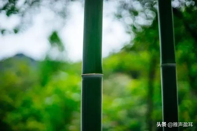 听一曲《湘妃怨》分明曲里愁云雨,似道萧萧郎不归