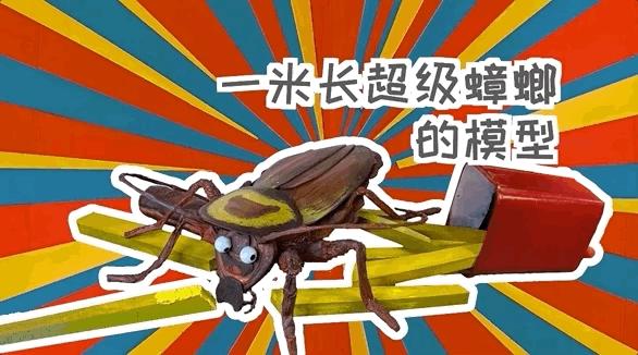 模型师消除家里蟑螂的模型,老袁如何消灭家里的蟑螂