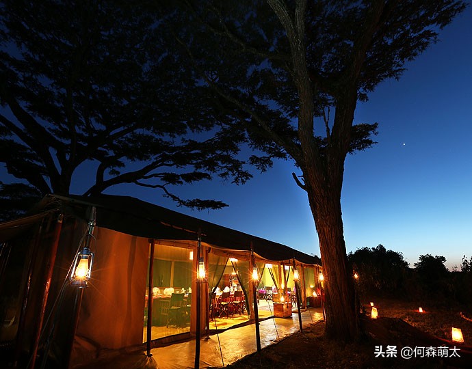 野奢帐篷酒店,轻奢帐篷酒店真实感受