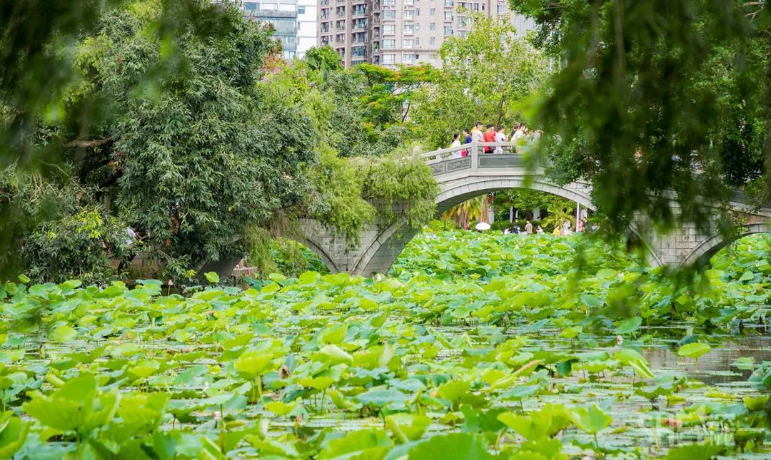 罗湖区的名气大吗,带你了解罗湖