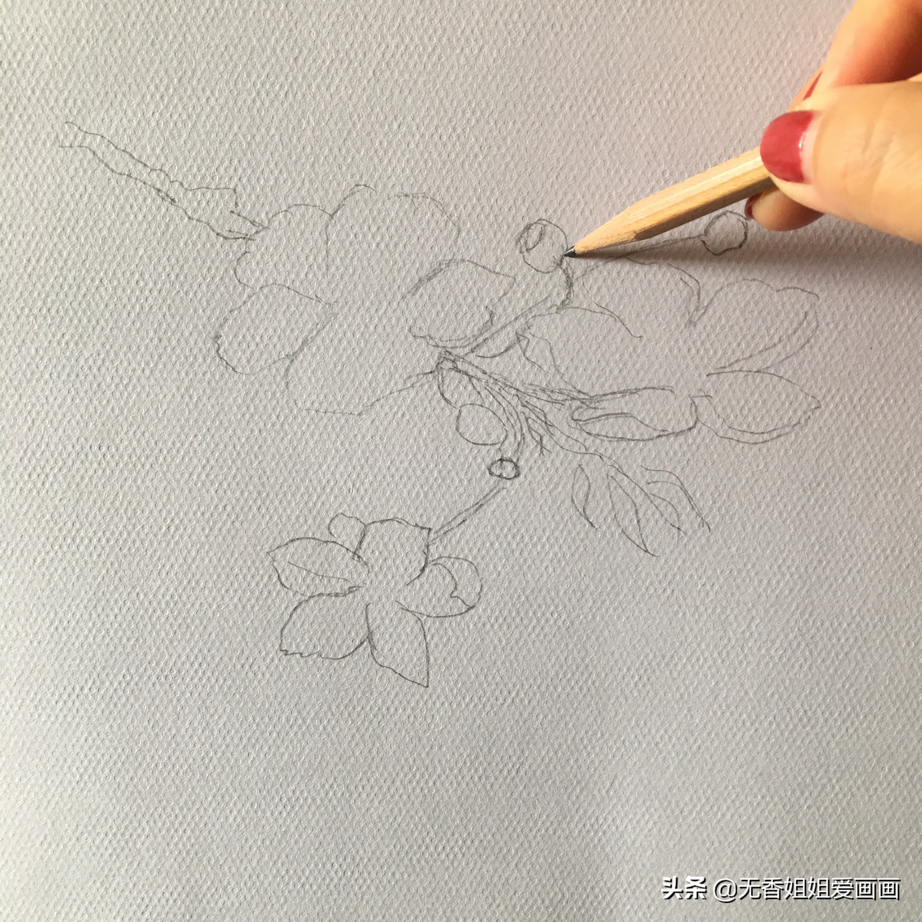 手绘桃花图片小学,马克笔手绘教程桃花