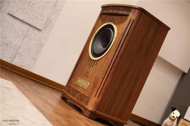 全球十大音箱品牌特色,十大公认音质好的hifi音箱