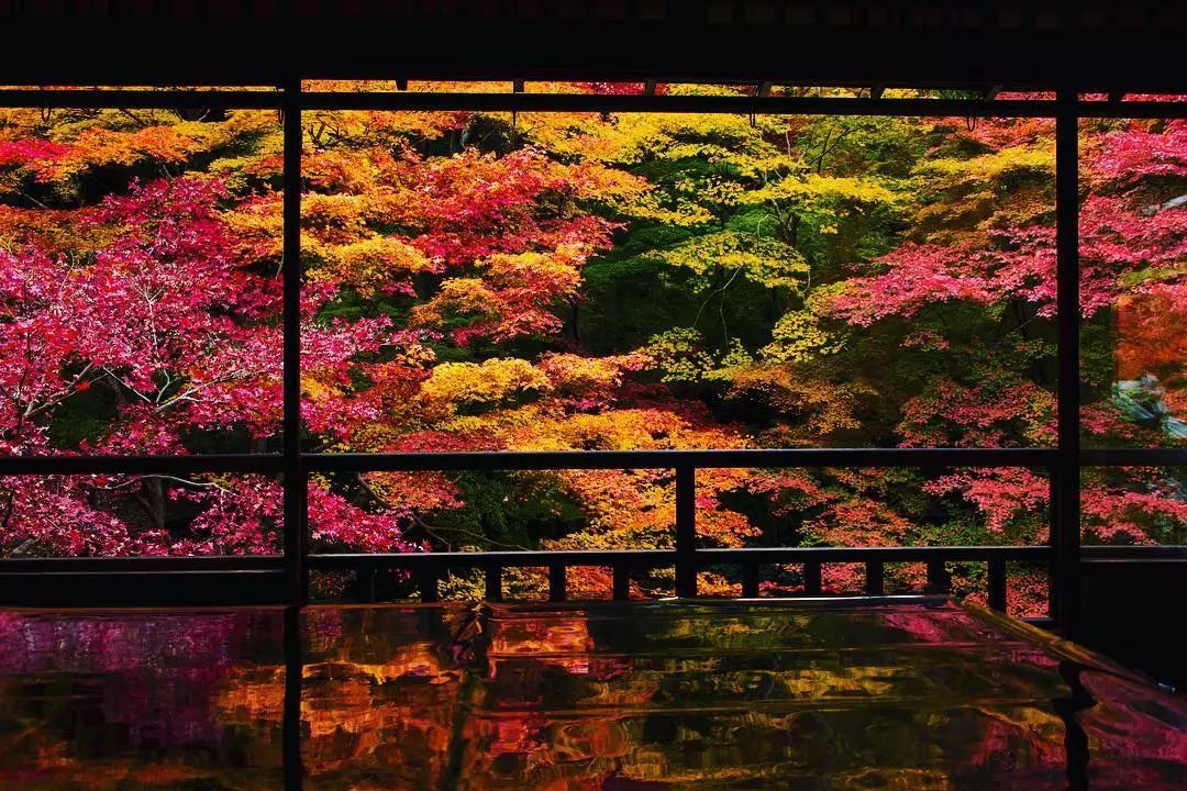 停车坐爱枫林晚风景,停车坐爱枫林晚季节