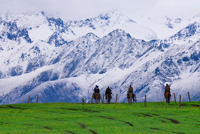 喀拉峻大草原风景好迷人,喀拉峻大草原生态环境