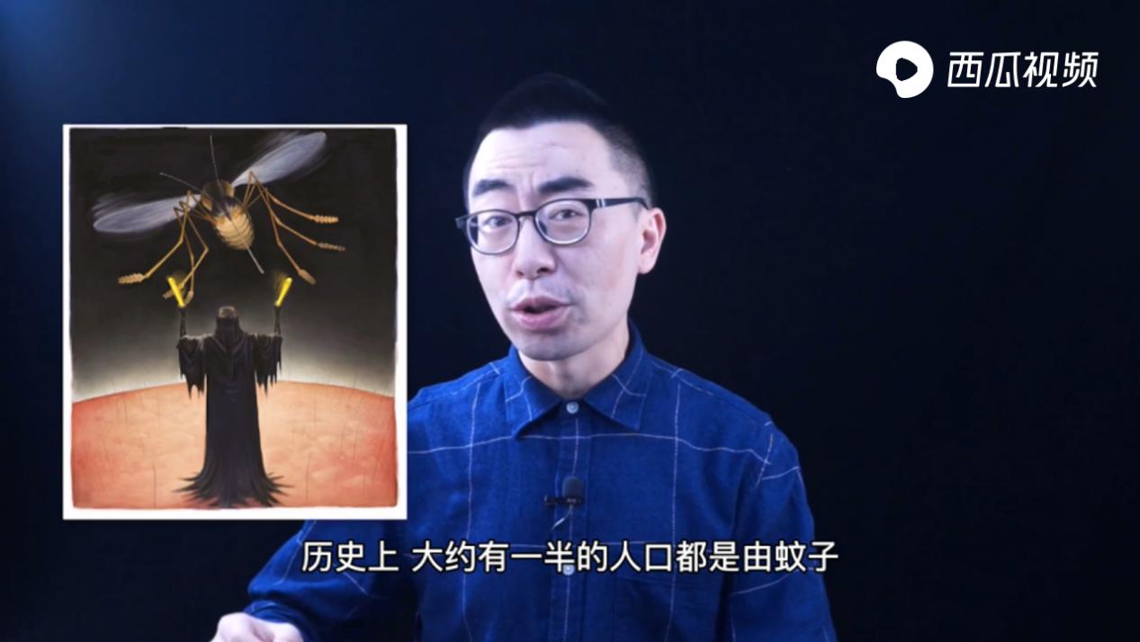 特招蚊子的血型,特招蚊子的人是哪个血型