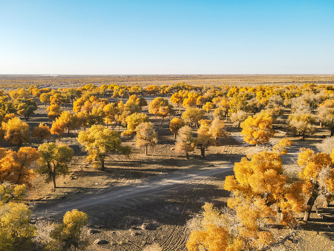 去一趟大西北的旅行,大西北旅行青藏高原