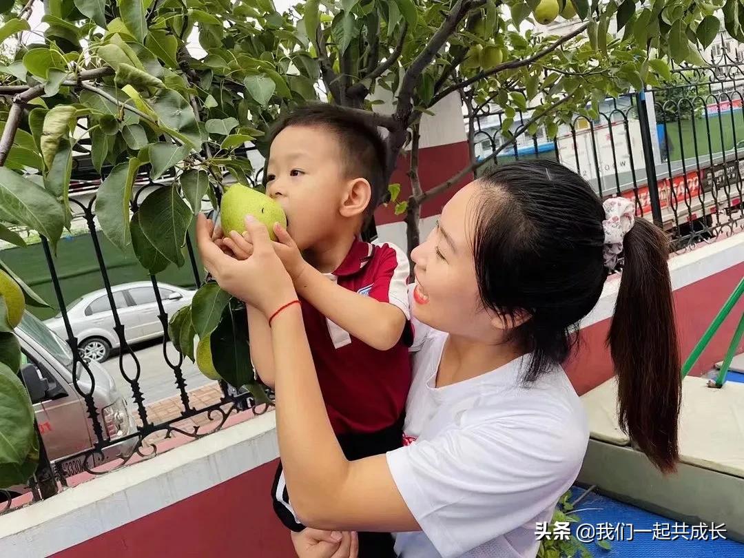 寻一抹秋色，遇一片美好：济南市启明星幼儿园的秋之美