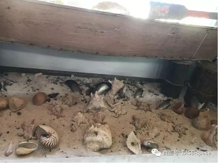 云在海在岁月在-欧菲·艺烁团队长滩岛自由行