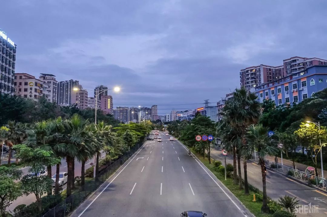 鍘夊浜嗘垜鐨勫ぇ閽﹀窞,鍘夊浜嗘垜鐨勫ぇ淇濆畾
