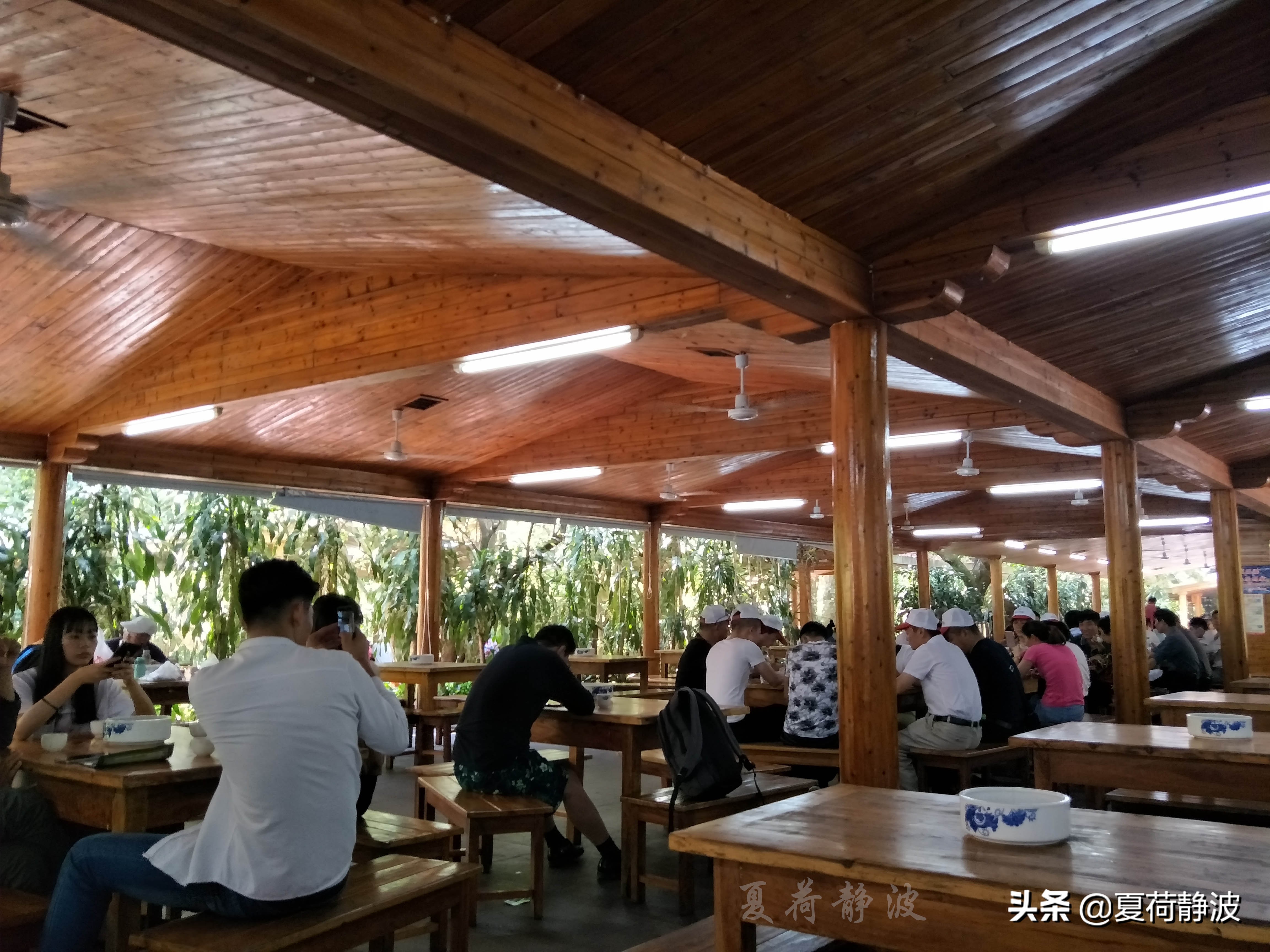 兴隆热带植物园攻略,万宁兴隆热带植物园