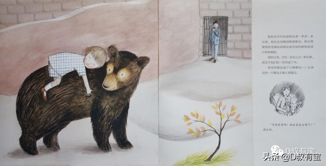 绘本分享：寻找维尼