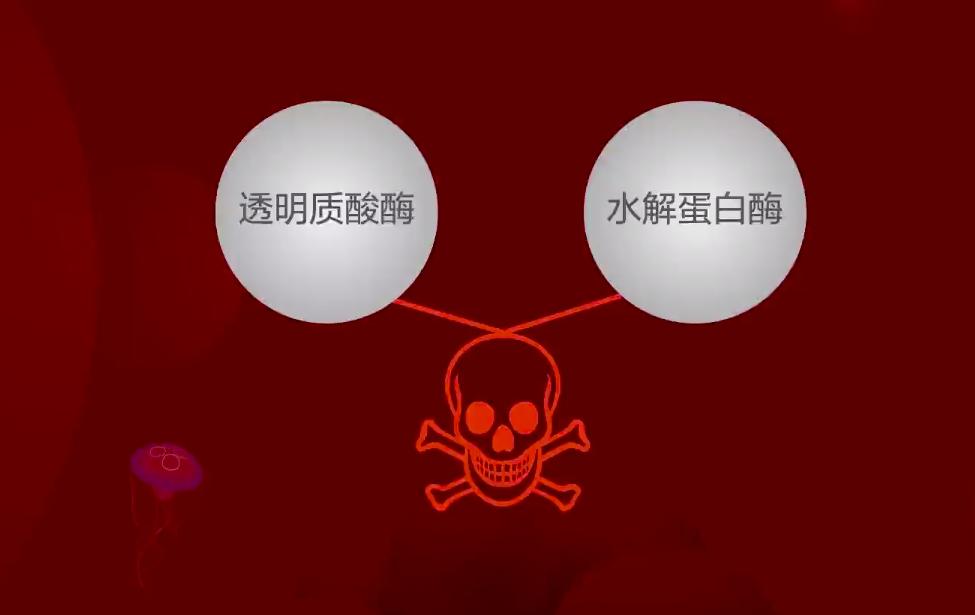 4米剧毒眼镜王蛇,为啥眼镜王蛇这么大又有剧毒