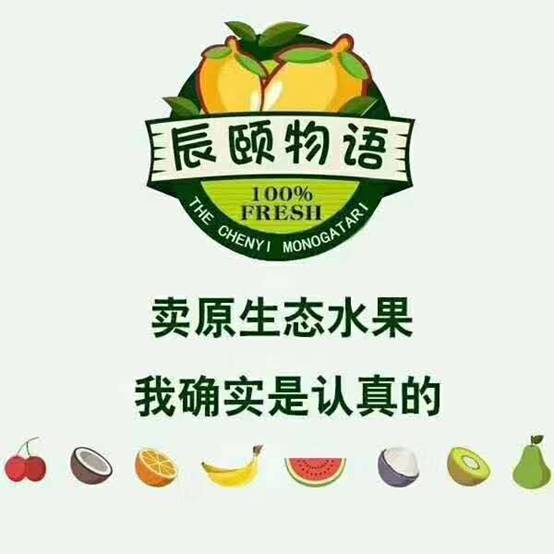 辰颐物语代理怎么加盟,辰颐物语代理方法