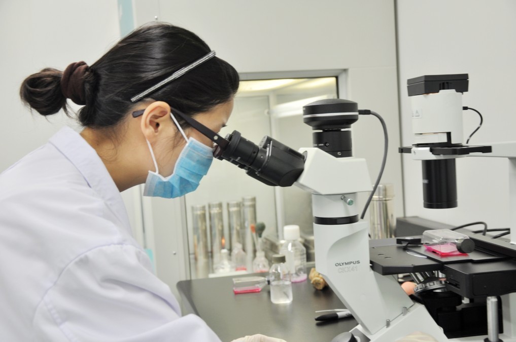 间充质干细胞能治疗一型糖尿病吗,间充质干细胞治疗一型糖尿病