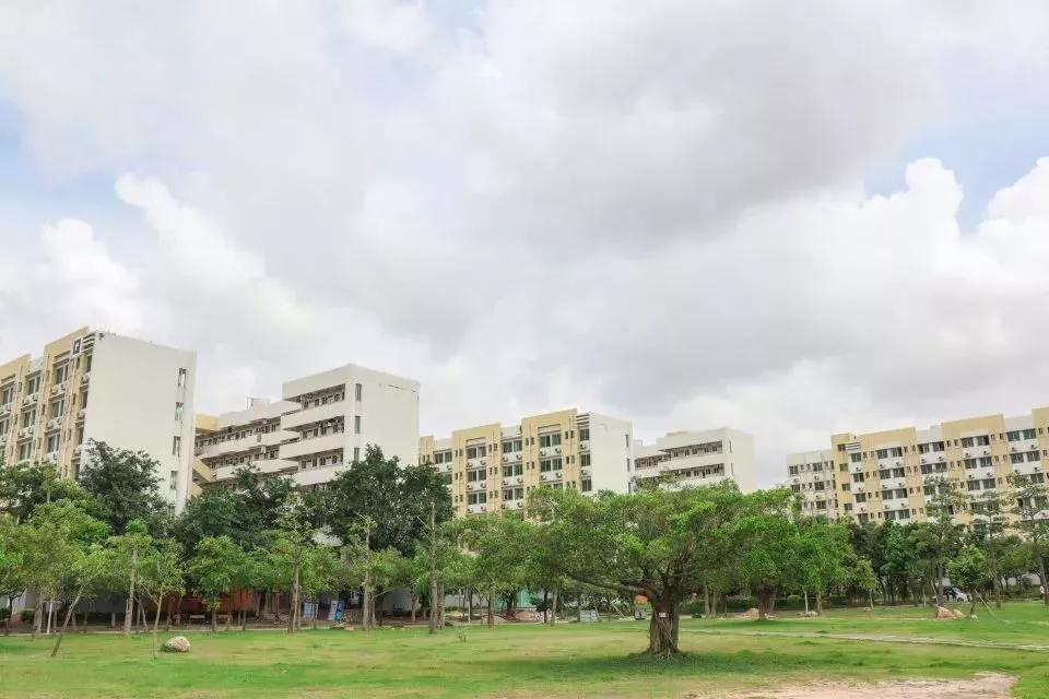 广东科学技术职业学院中专分数线,广东科学技术职业学院有本科嘛