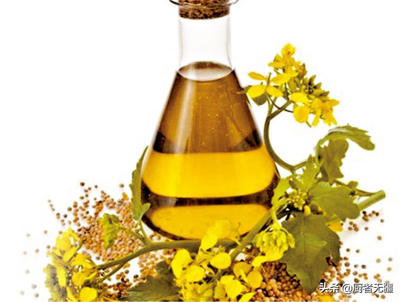 食用油说明书,食用油到底该如何选择