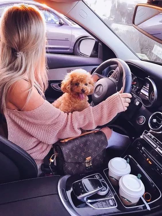 lv和chanelysl (ysl niki与lv邮差包哪个值得入手)