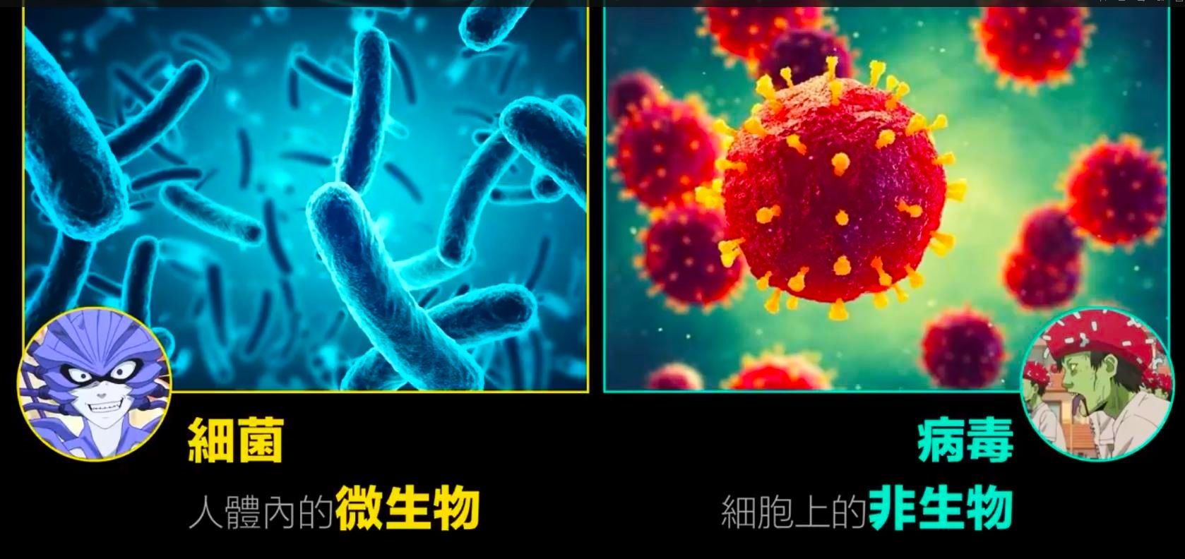 为什么人类是世界上最奇特的生物,细菌的演化过程