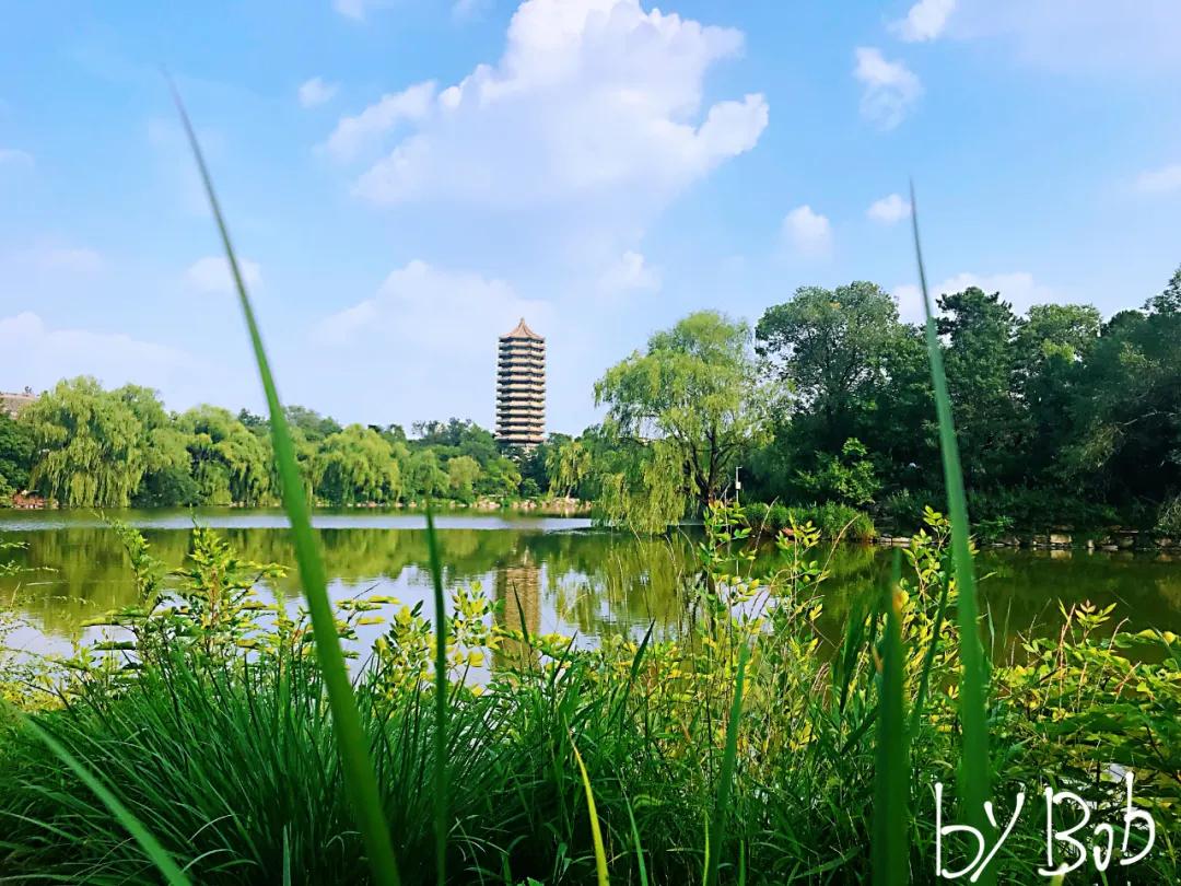 沈南鹏张磊阎焱王强,50后607080后