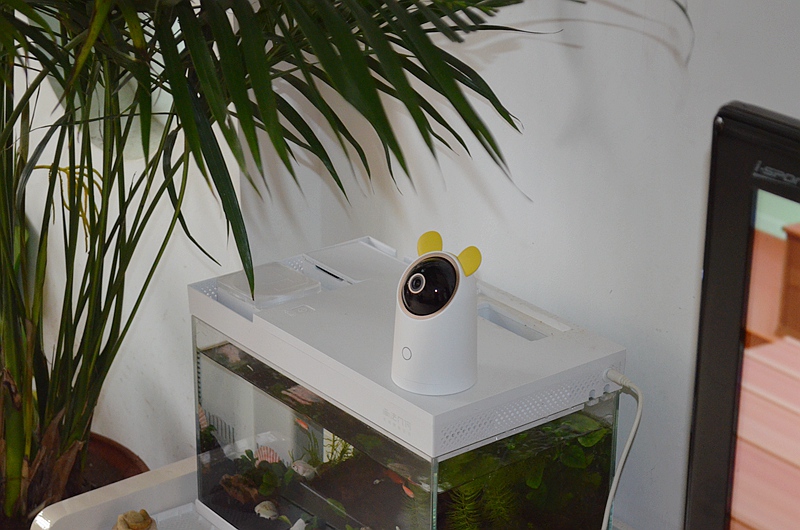 海雀ai摄像头升级鸿蒙系统,华为鸿蒙os摄像头与海雀区别