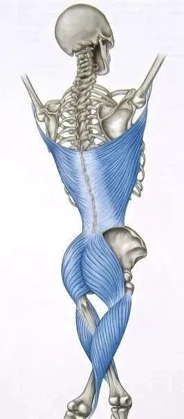 体能康复与体能训练,体能康复的定义是什么