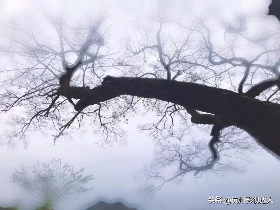 冬天到了作文200字,冬天到了的作文100字