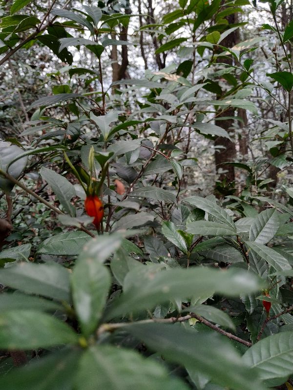 杭州市周末自驾游去哪里好玩,杭州出发周末旅游攻略