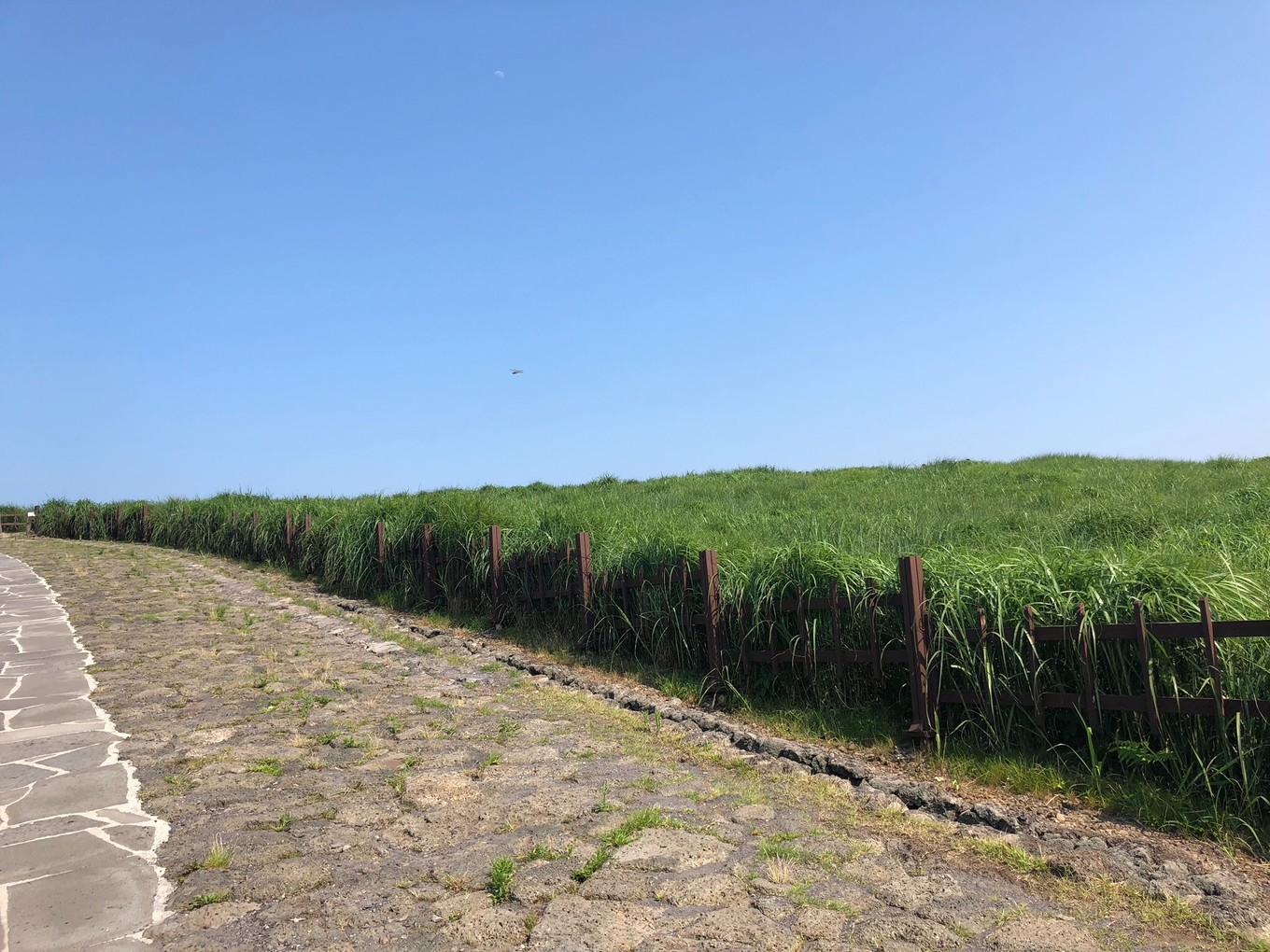 不会韩语去济州岛怎么自由行,济州岛两天旅行攻略