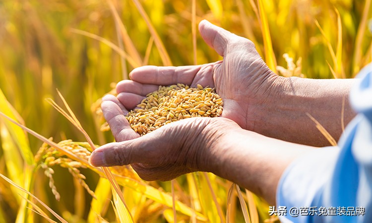 巴乐兔儿童外搭,芭乐儿童适合吃哪种