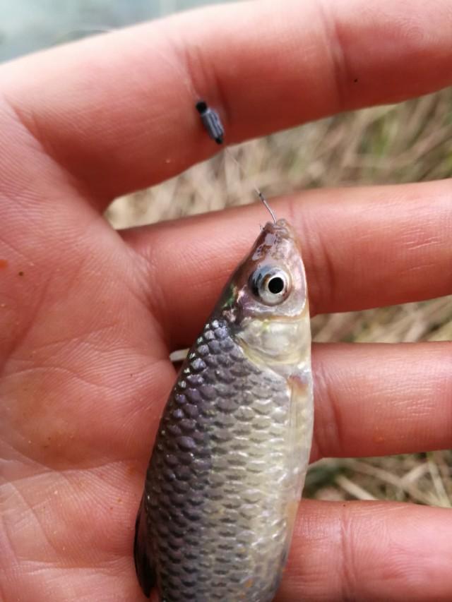 打开新世界之门,世界钓鱼之旅钓大鱼