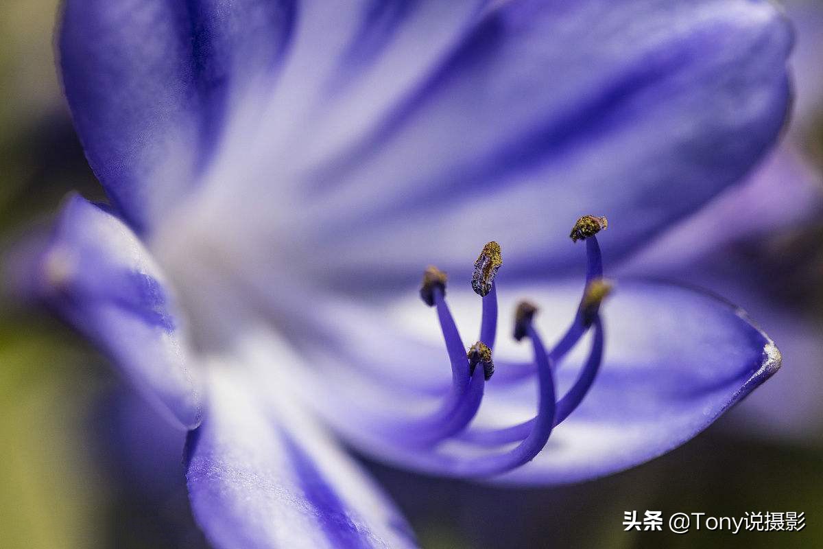 相机镜头入门知识大讲解来啦,相机和镜头的基础知识讲解