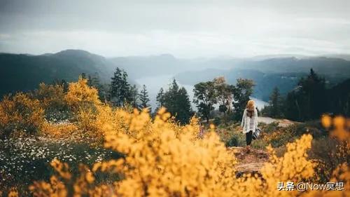 谈初心谈使命谈担当,谈初心的感悟