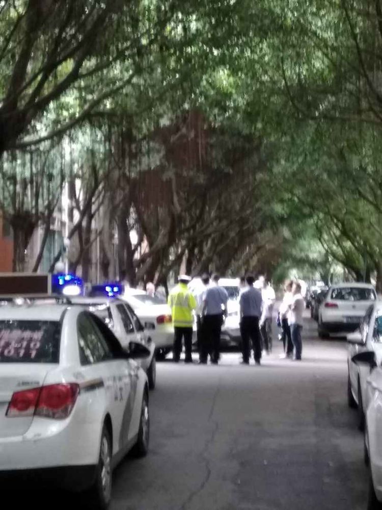 成都网友投诉怡丰新城小区榕树成灾危及行人，高新管委会回应