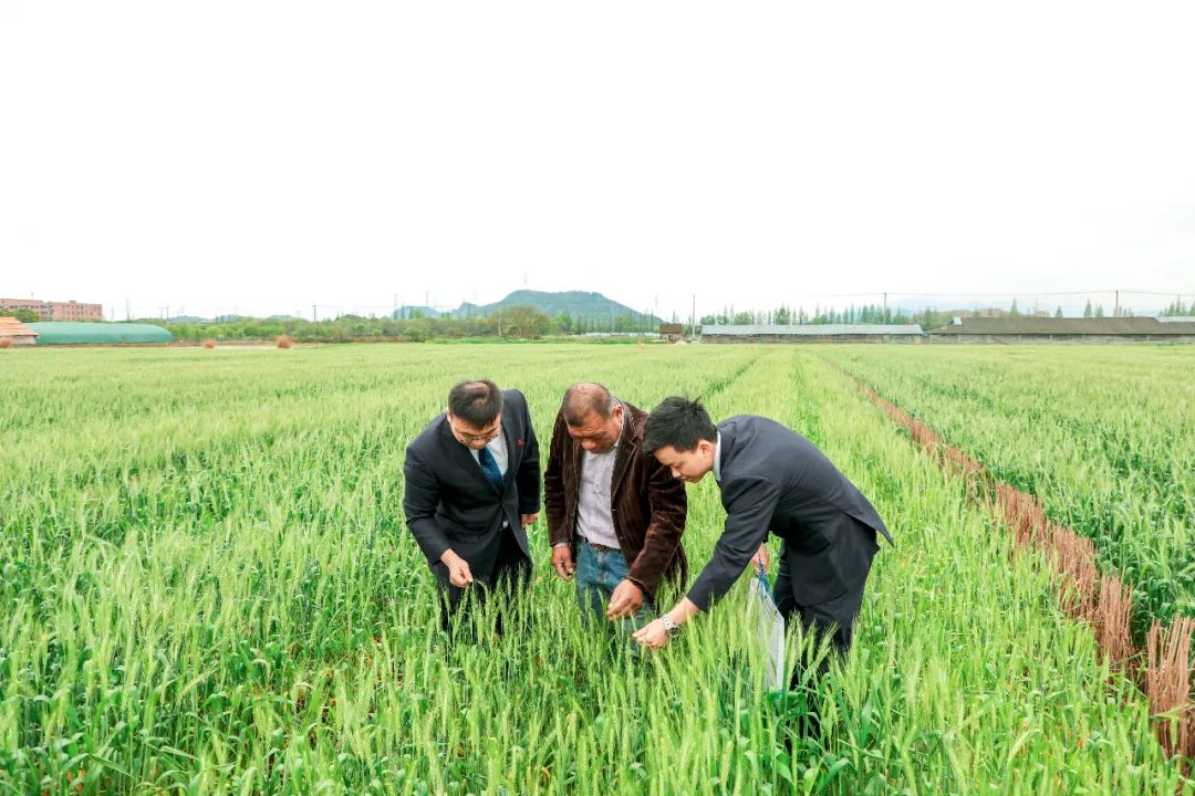 A类行！第1名！萧山农商行：亮剑2020成绩斐然