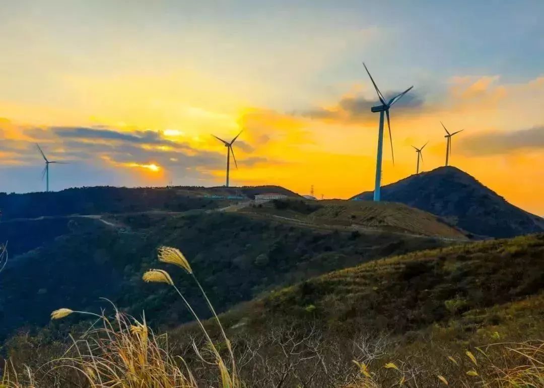 北仑旅游攻略大全集,北仑旅游攻略