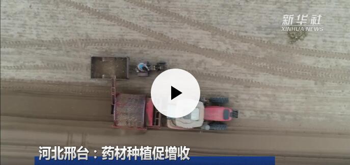 高端媒体看磁县,高端媒体看邢台新华社