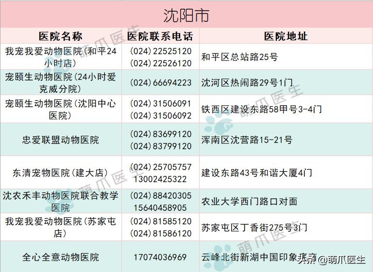 求良心靠谱的宠物医院,真正平民的宠物医院