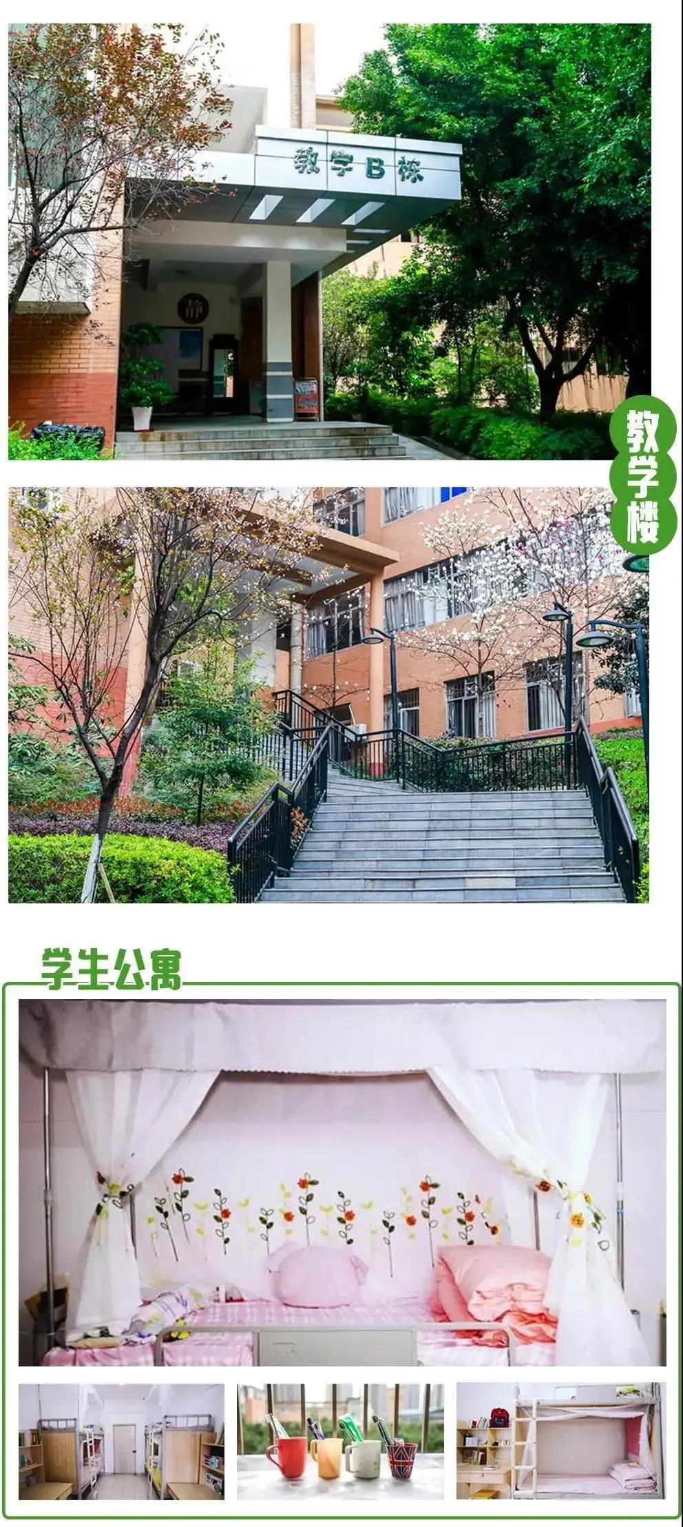 七龙珠校园版,七龙珠为什么不许愿全宇宙第一