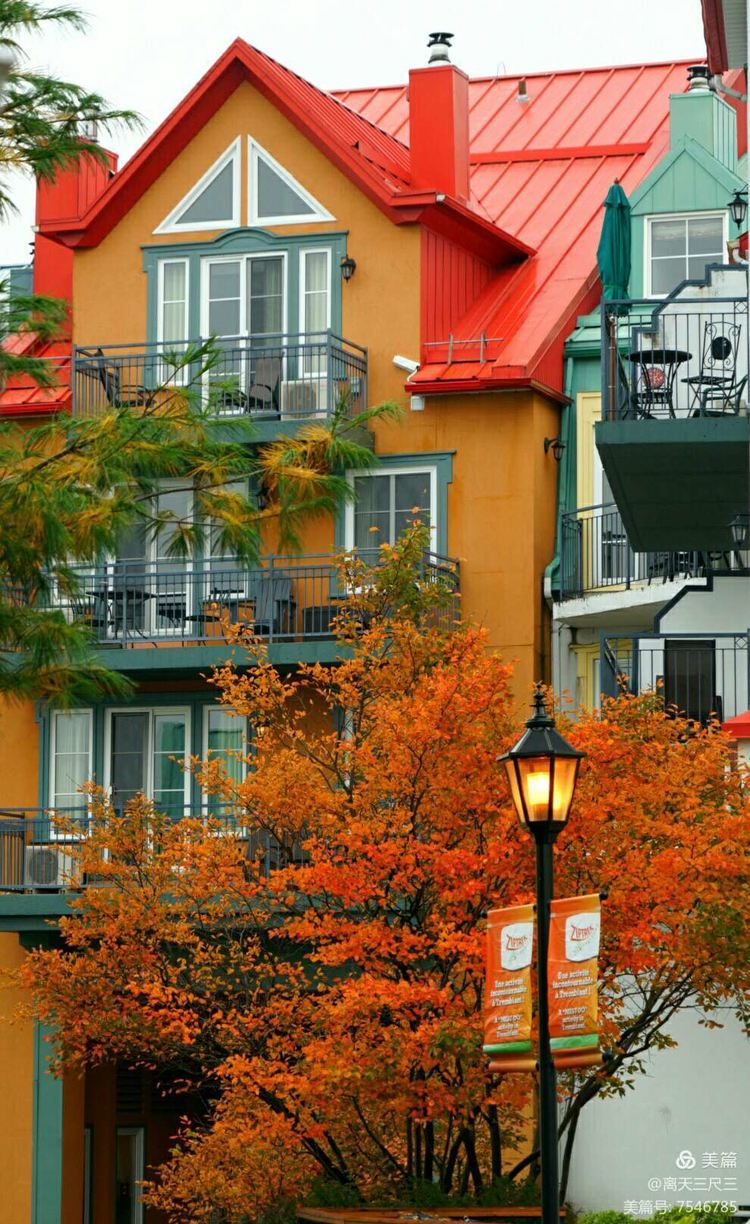 鍖楃編鏋儏閽荤煶姗℃湪,鍖楃編鏋儏鐏攨